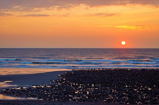 858909_596218473736528_1182807882_o