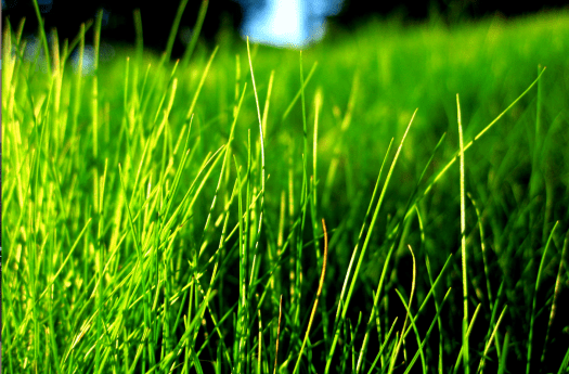 Screen shot 2013-11-04 at 1.16.38 PM