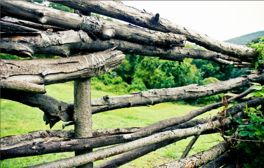 Screen shot 2013-11-25 at 3.50.02 PM