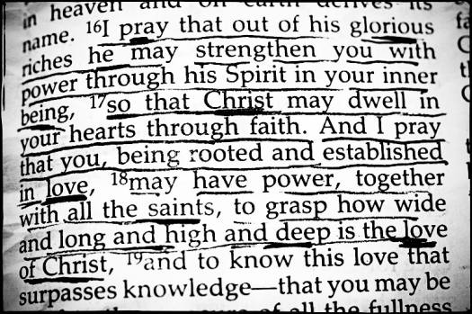 Screen Shot 2014-02-16 at 12.04.29 PM