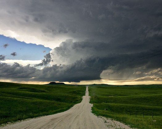 wallpaper_storm_animaatjes-26