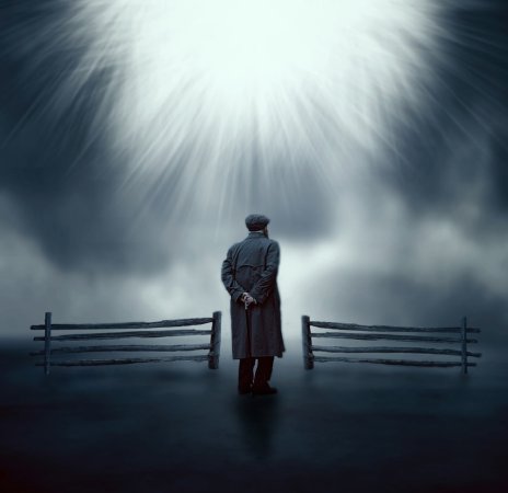 waiting_for_dog_by_cathleentarawhiti-d64g7uz