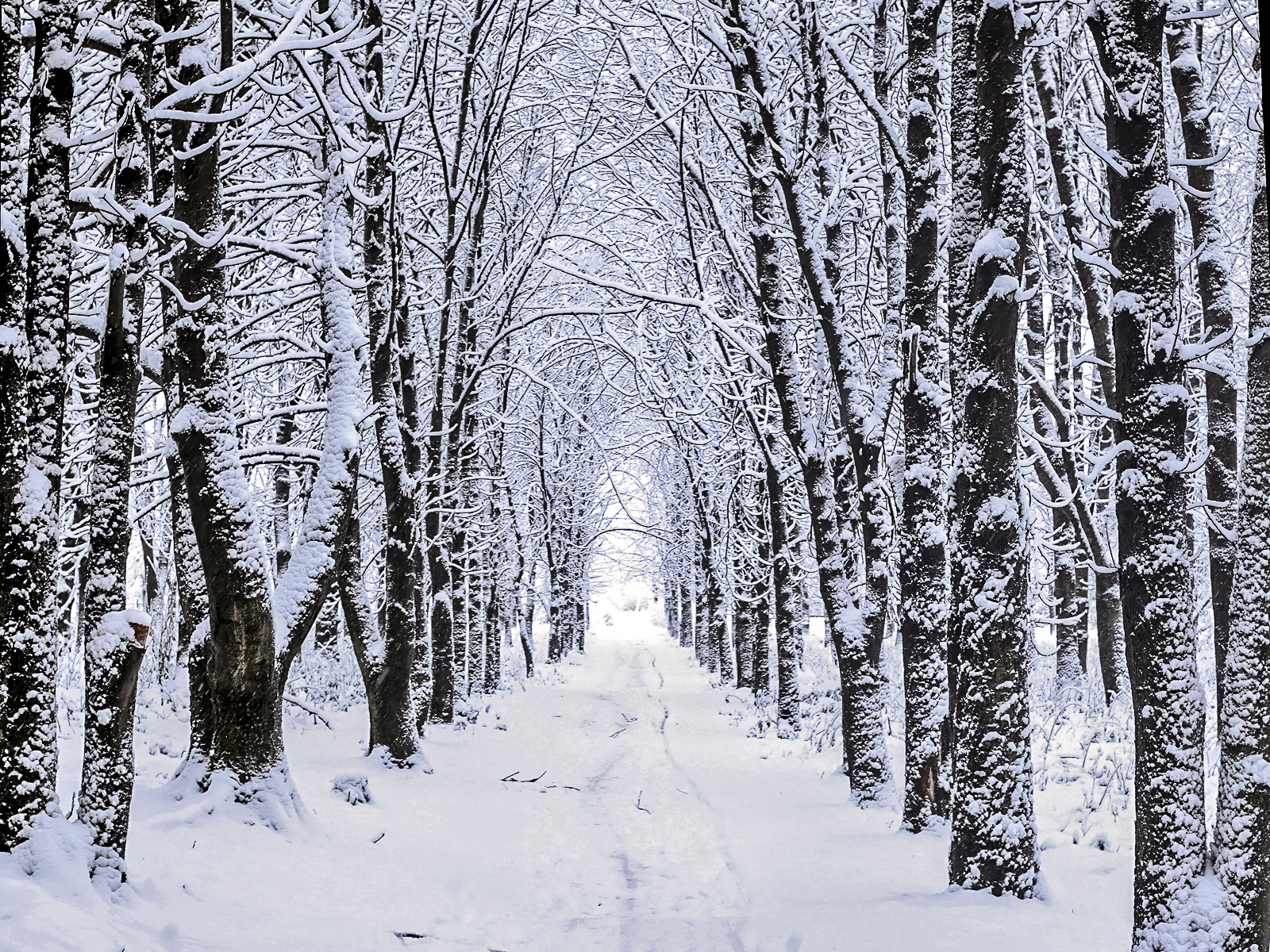 norway-julie-13-of-1